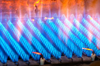 Dunston Heath gas fired boilers